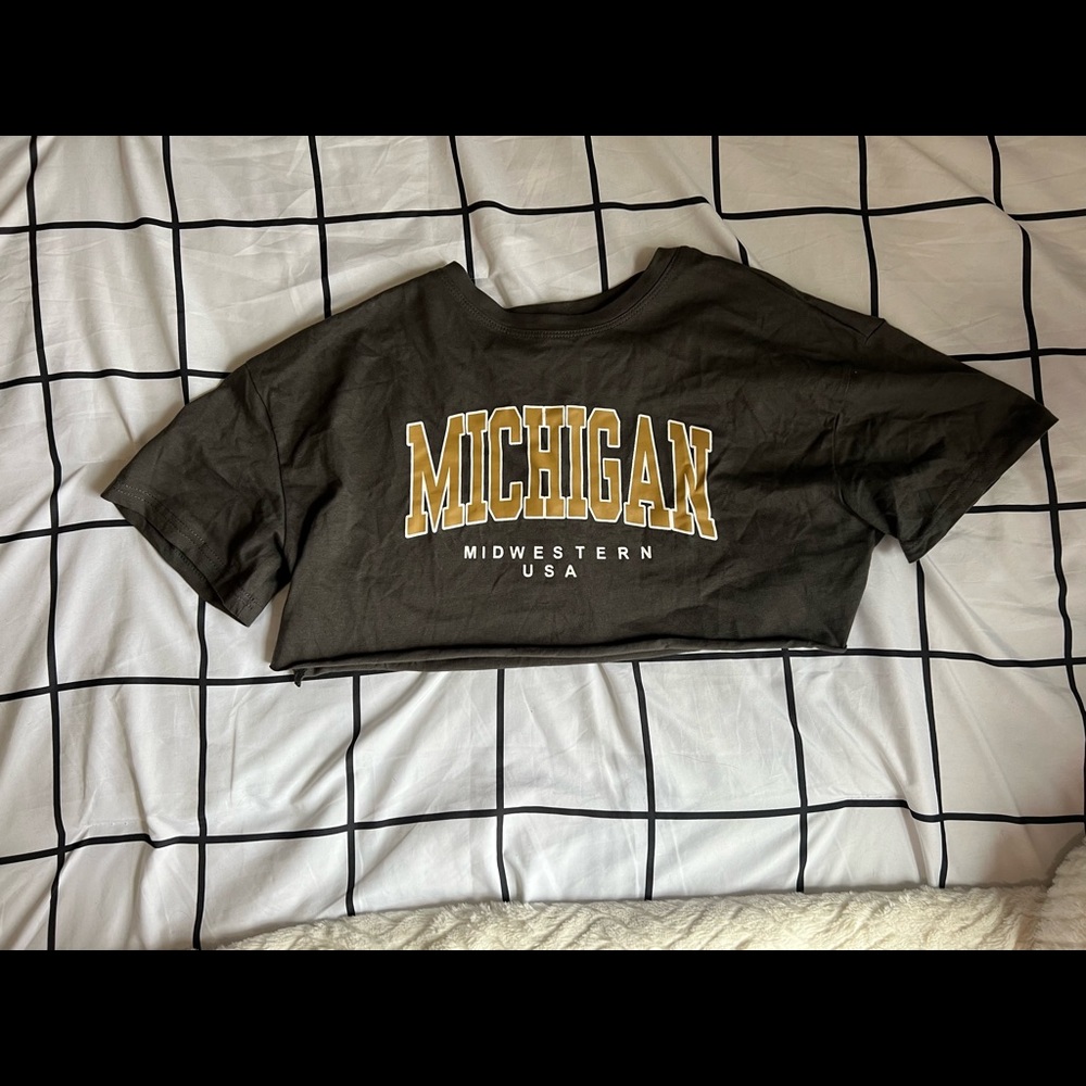 Michigan Crop top
